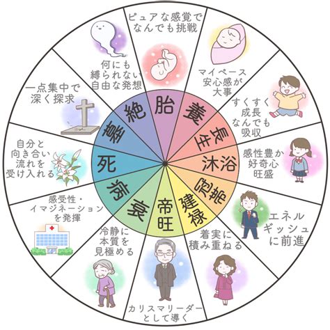 先天運|命式｜新栄堂 四柱推命の鑑定術や説明を豊富な資料とともに分 